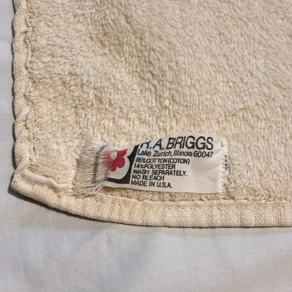 Vintage Set Embroidered Owl Bath Towel & Hand Towel R.A. Briggs Made In USA